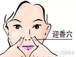 丹皮酚治鼻炎使用方法,苍耳子治鼻炎正确方法