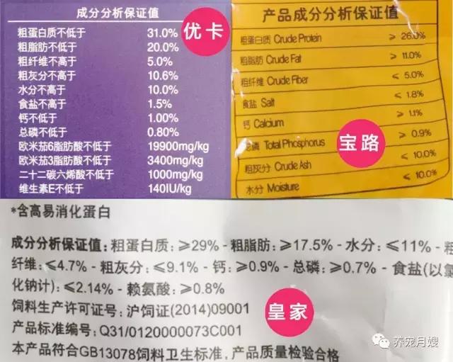 狗粮测评进口粮,狗粮评测报告