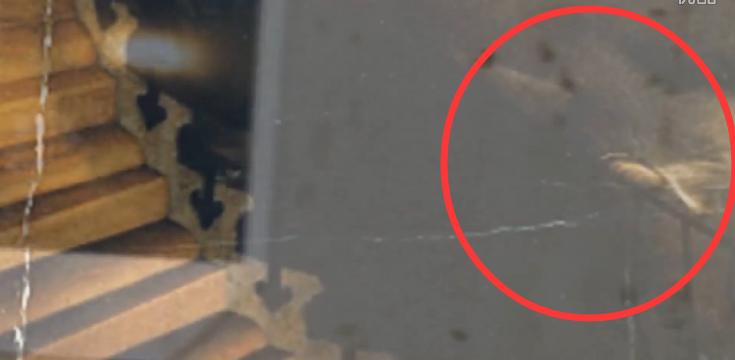 令人不寒而栗的幽灵图片,让人印象深刻的15张诡异图片