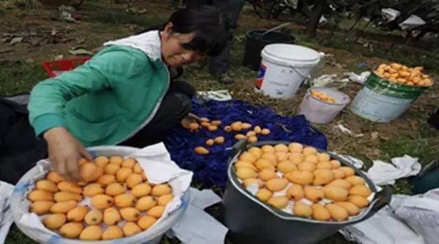 重庆到四川旅游自驾最佳路线,从四川出发旅游路线推荐环线