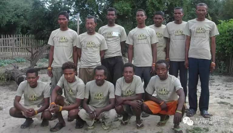 辐射陆龟名字由来,辐射陆龟是什么