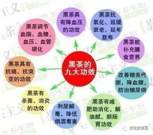 长期喝安化黑茶的好处和坏处,安化黑茶的好处与功效
