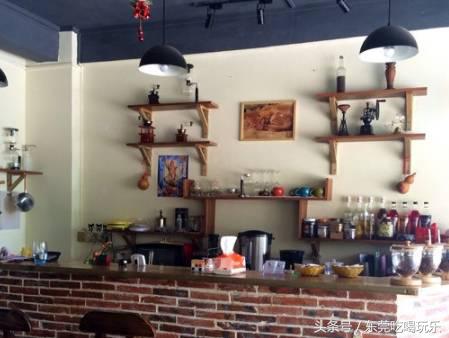 猫咪主题餐厅一览表,首家猫咪主题餐厅