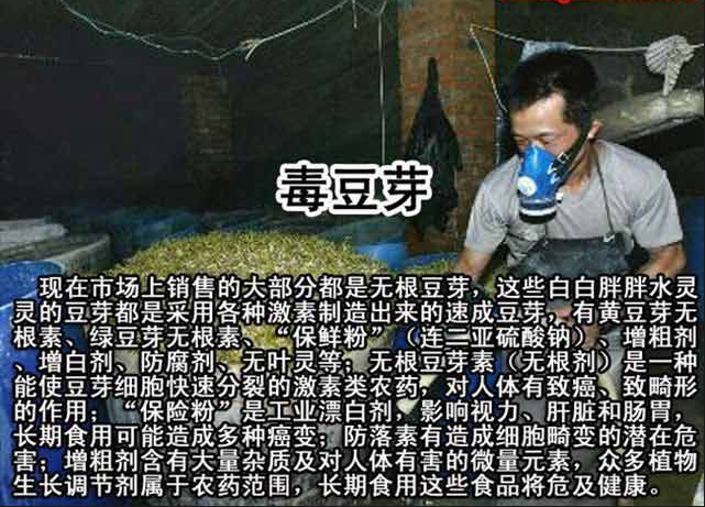 蔬菜怎么吃最健康,绿色健康蔬菜菜谱