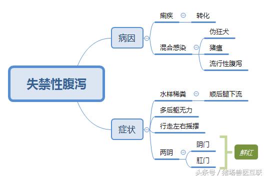 猪水样腹泻,40斤猪拉黄色水样稀便是怎么回事