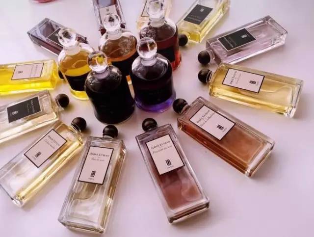 祖马龙芦丹氏,祖马龙芦丹氏阿蒂仙