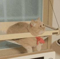 分享·听说圣诞节要来了,吃了这波毒安利