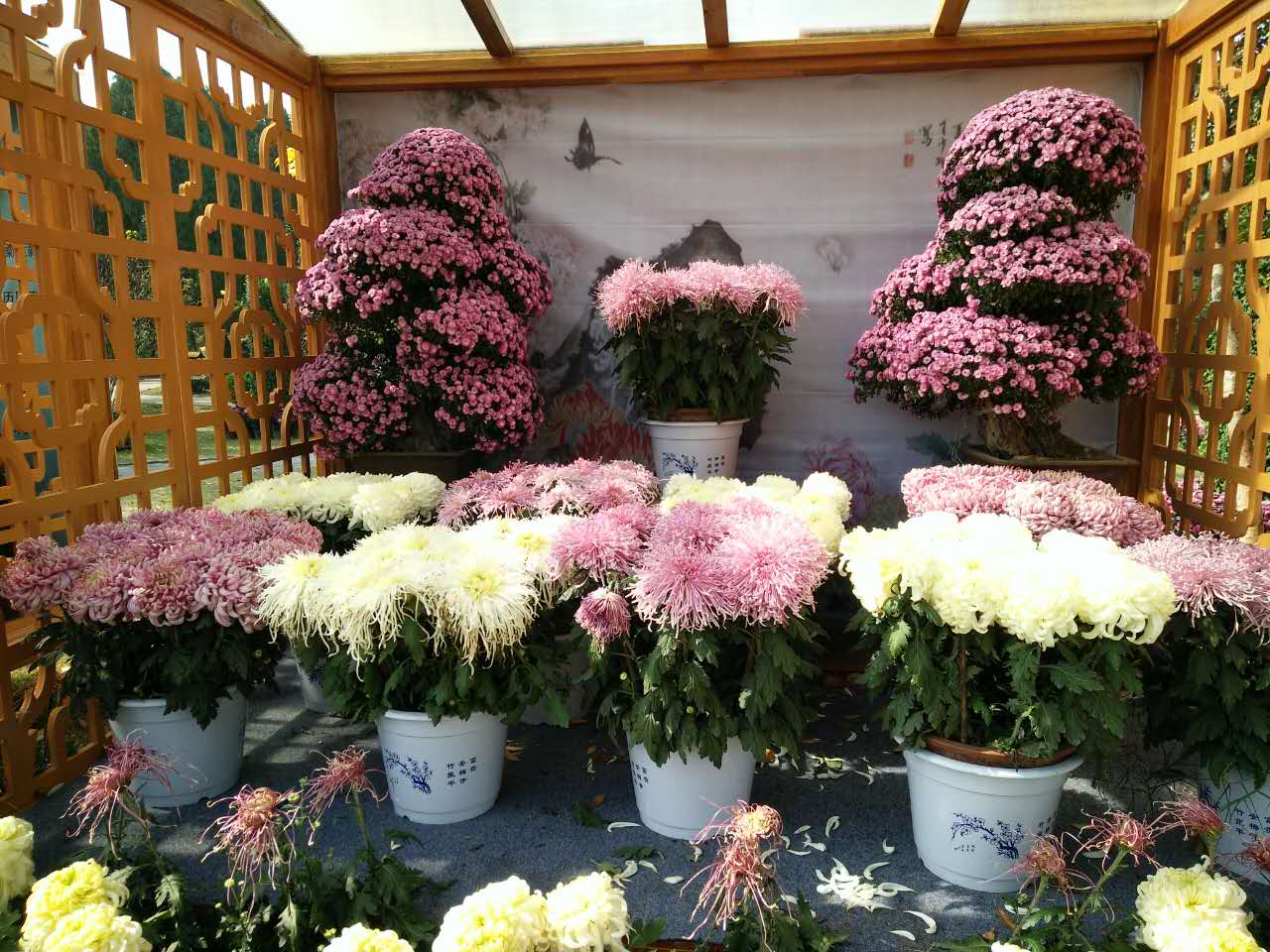 血压高糖尿病并发症中药方子最好,心绞痛高血压药