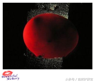 虎皮鹦鹉繁育期间注意事项,虎皮鹦鹉怎么快速产蛋