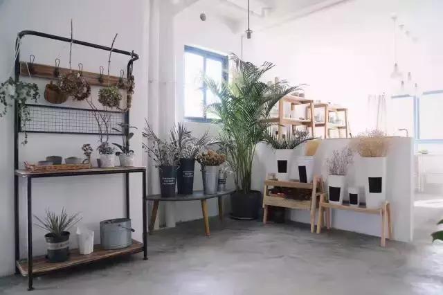 airbnb上订的民宿和房东一起住吗,airbnb十大最受欢迎住宿