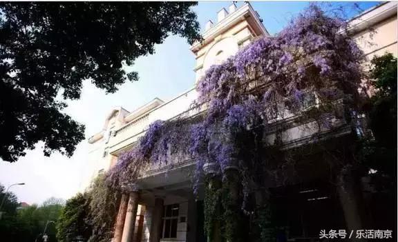 如果可以,请留在南工!浦珠南路30号,留下了我太多的青春!