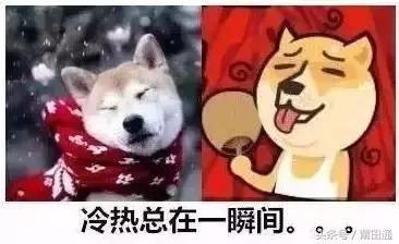 莆田今年首场寒潮来袭,莆田遭遇寒潮了吗最近天气