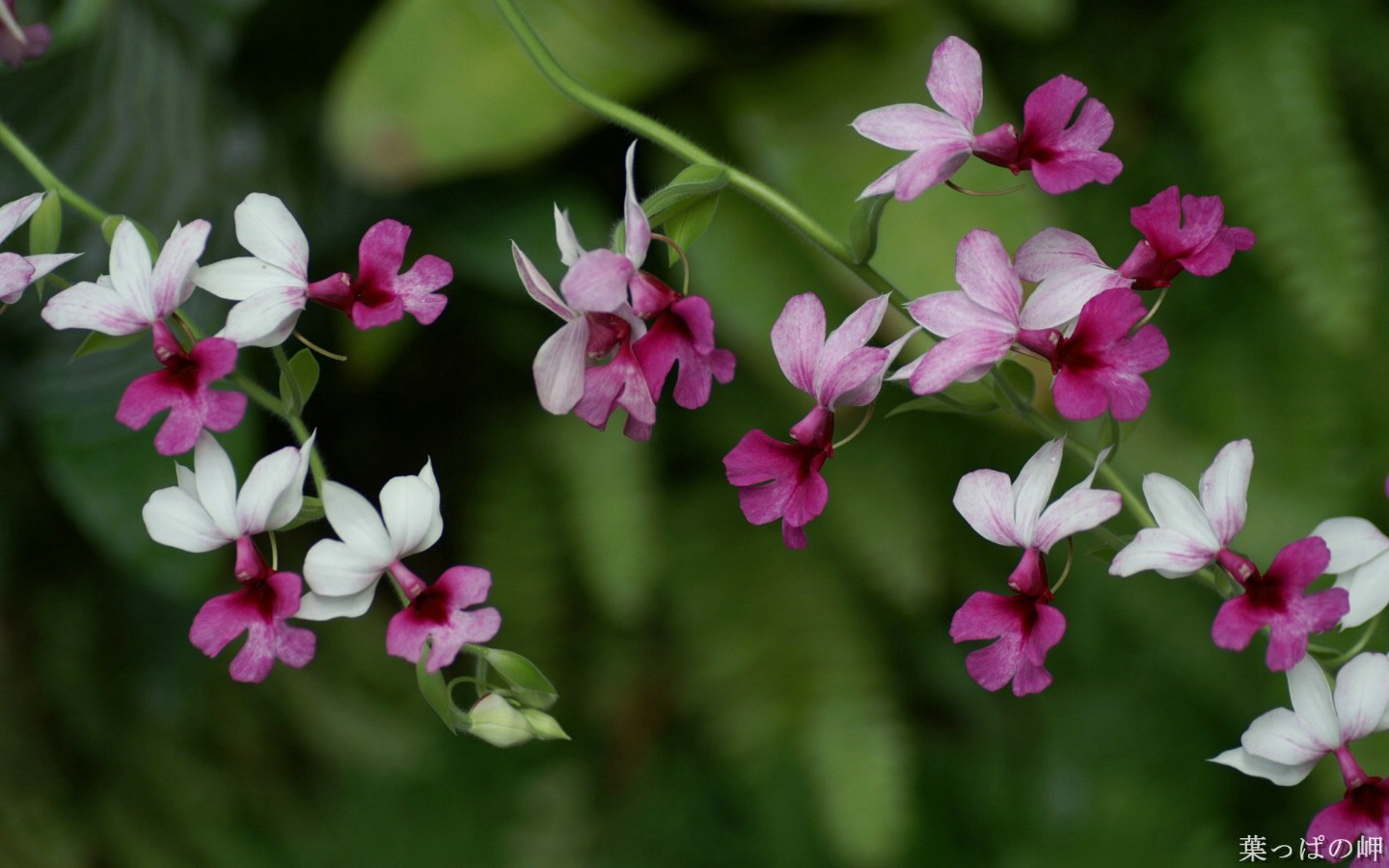 职场中的负能量句子,职场远离负能量的人经典语录