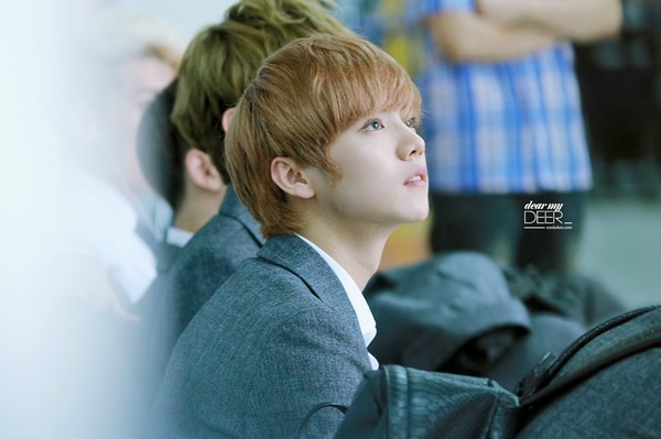 鹿晗是巨星吗,鹿晗不是男人