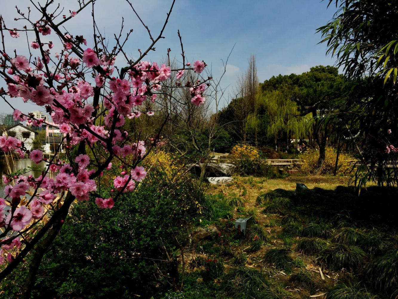 澶粨鍗楀洯鍘嗗彶鑳屾櫙,鍥捐澶粨鍘嗗彶