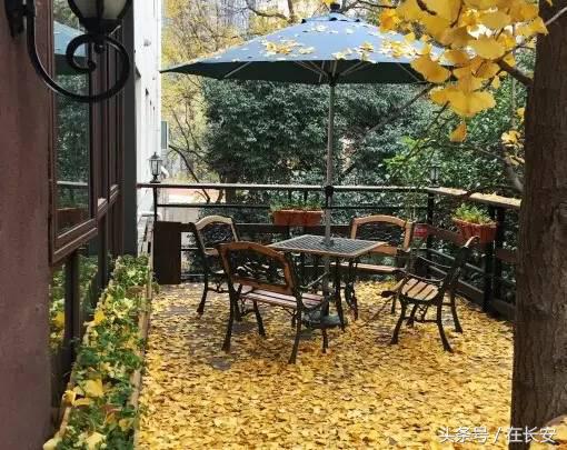 西安氛围感餐厅圣诞,西安圣诞主题餐厅