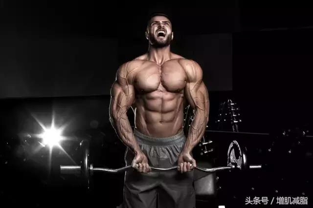 有氧对增肌并非“一无是处”，增肌不能不做有氧！