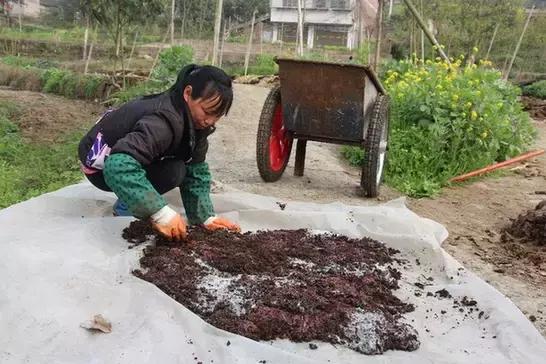 致富好项目有哪些,致富有啥好点子