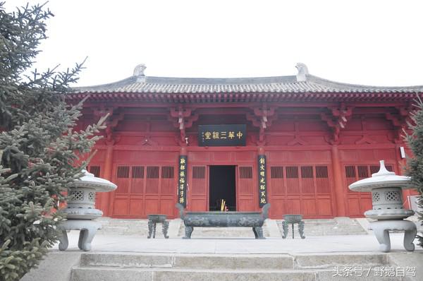 野鹅自驾红井路,野鹅自驾游最新视频