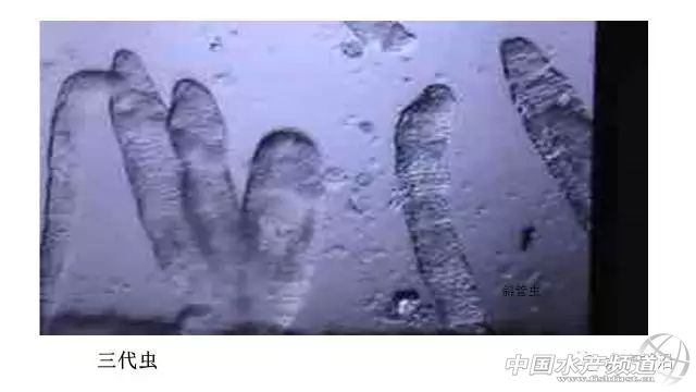 做到这十点顺风顺水,做到这十点你绝对不会吃亏