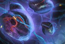 二孩政策落地要多久,2015年全面二孩政策