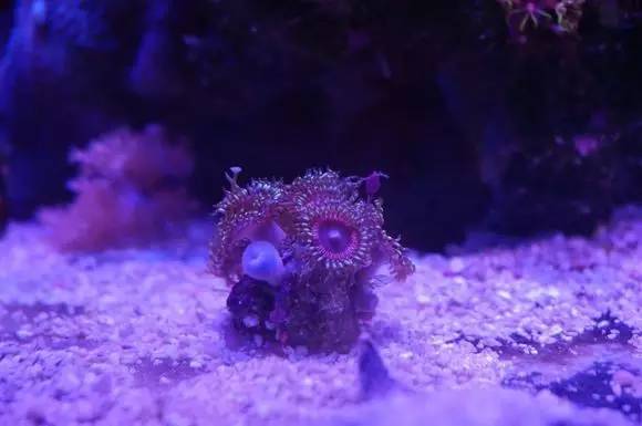 玩的真溜,三千玩出了三万的水平!