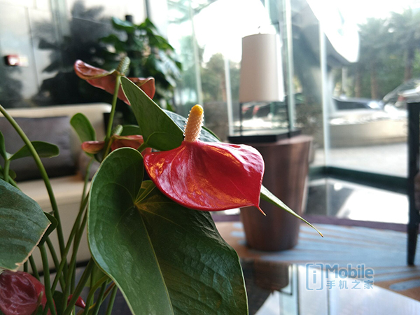 金立m2017最低价,金立m2017标配价格