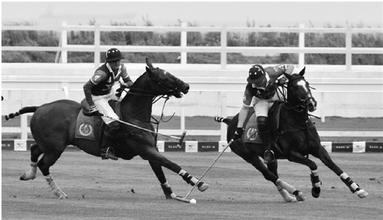 浙江知名品牌100强,浙江30强