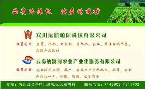 肾结石的救星来了,结石的大克星来了