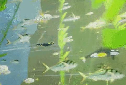 steam资讯促销,steam春季促销小游戏推荐