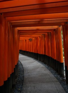 再入关西——现代的大阪，古典的京都