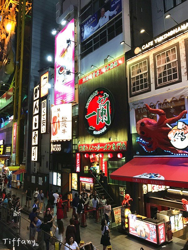 11月京都红叶游记,京都红叶两日游