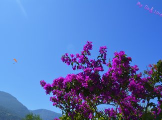 为了不再忘却的纪念--土耳其心醉神迷（伊斯坦布尔，卡帕多奇亚，费特希耶，阿拉恰特，伊兹密尔顺时针环行记）