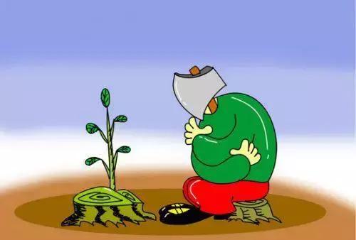 平行进口车可以买到哪些车,便宜的平衡车