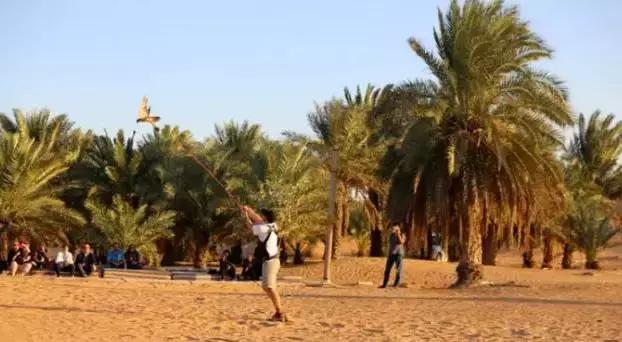 迪拜王子开车去沙漠越野,沙漠越野迪拜沙漠汽车赛
