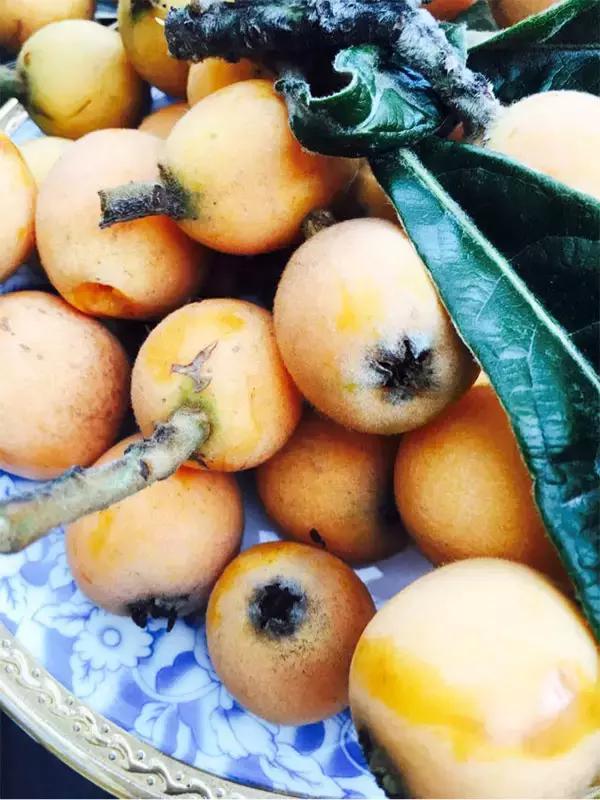 中华小当家国营食客,中华小当家食客反应