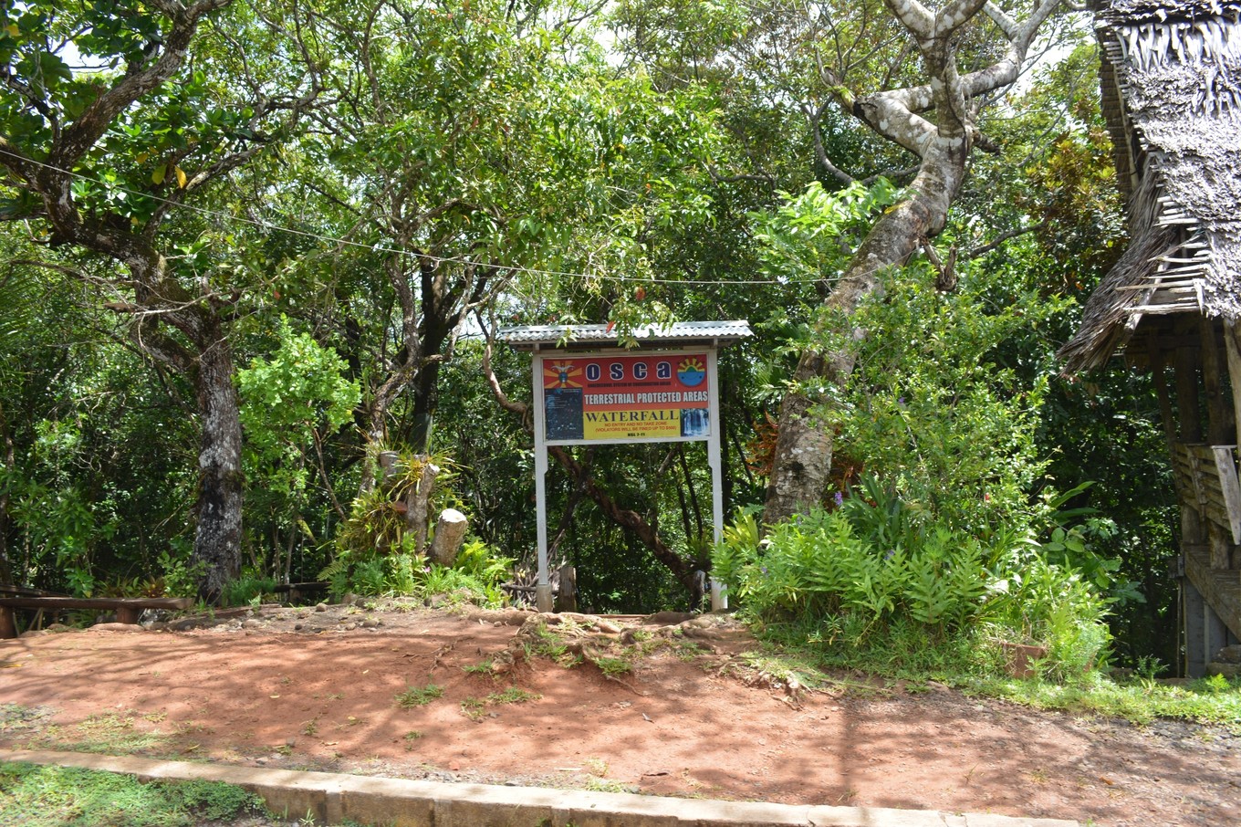 帕劳旅行攻略大全图文,帕劳旅行攻略图文大全