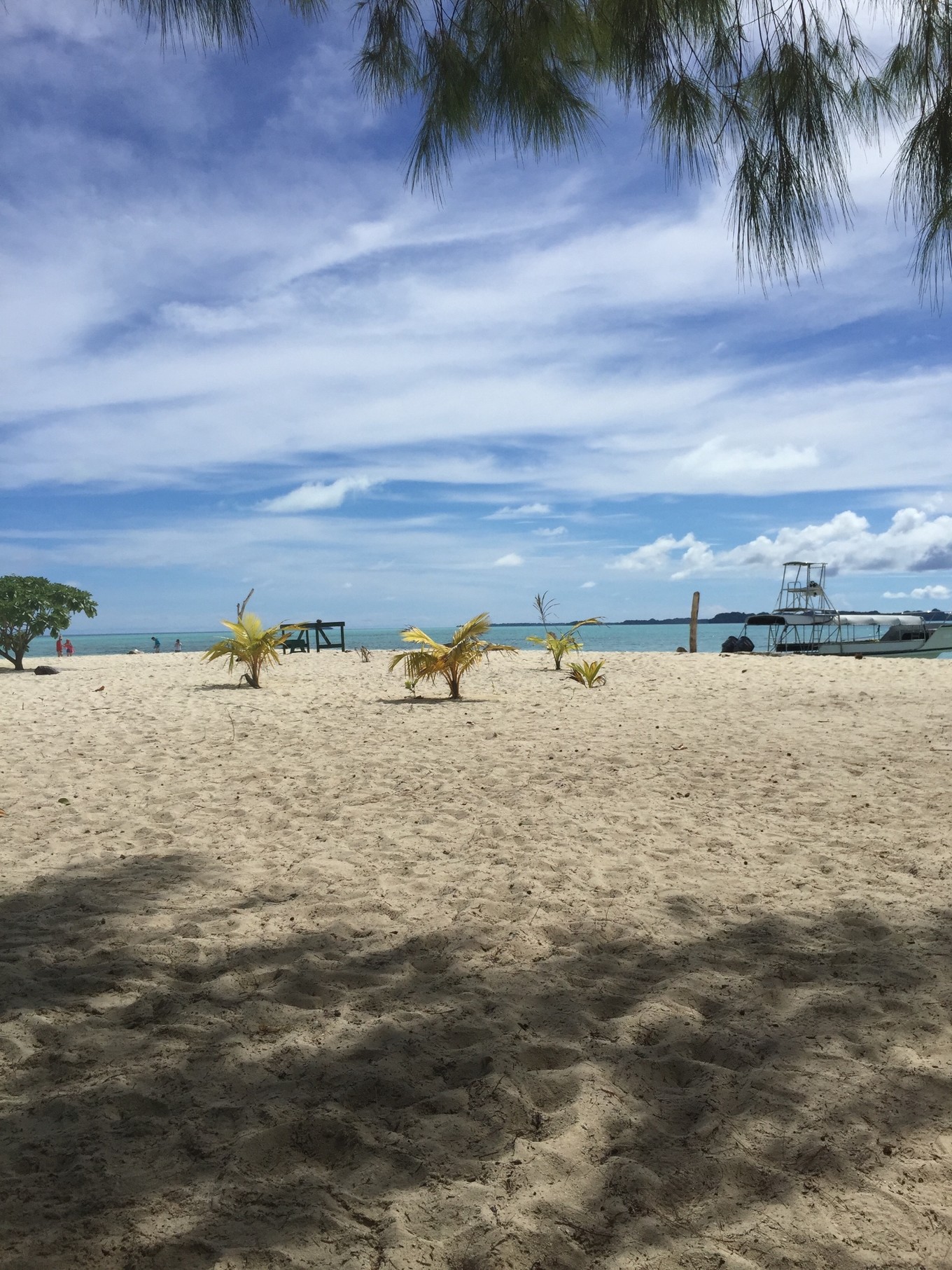 帕劳旅行攻略大全图文,帕劳旅行攻略图文大全