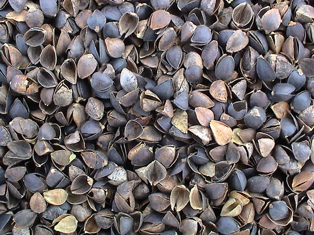 涔鹃殕鐖风敤杩囩殑瀹濊礉,涔鹃殕寰¤祼鍒樺鍧愬灚