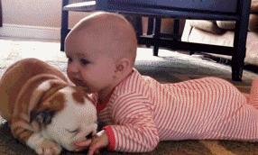 林黛玉葬花时的场面和内心感受,林黛玉葬花词中最经典的几句