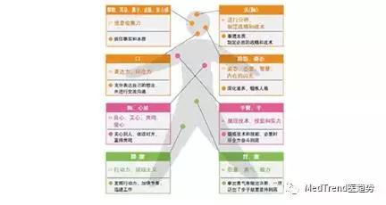 富士医疗全球排名,富士医疗公司简介