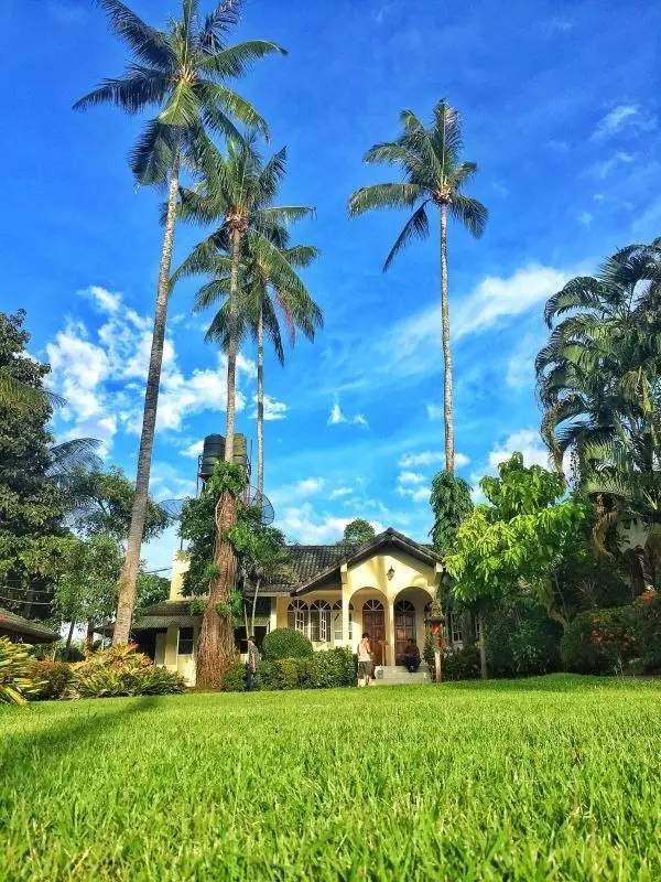 四川帅大叔暴改普吉岛民宿,用时4个月他活出了你最羡慕的样子