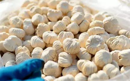 山东济南什么菜最出名,山东济南农村特色菜