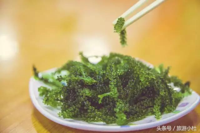 鐞夌悆涔嬭摑鎭嬫垬鍐茬怀,鎭嬫垬鍐茬怀铚滄湀涔嬫梾