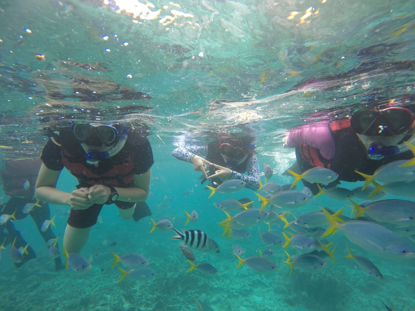 帕劳旅行攻略大全图文,帕劳旅行攻略图文大全