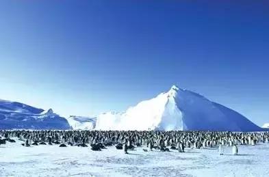 家庭教育是父母给孩子最好的陪伴,好的家庭教育是孩子的一生的礼物