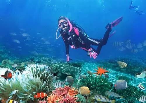 巴厘岛哪些旅游景点值得去旅游 (海岛明珠巴厘岛旅游)