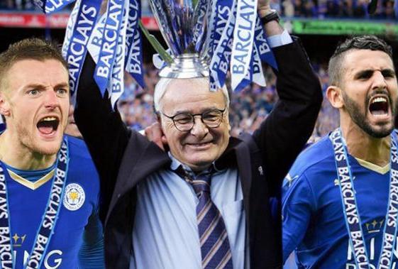 蓝狐夺冠历程,蓝狐奇迹夺冠原视频