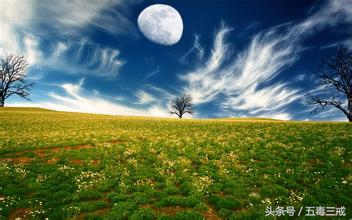 道德经第52章尊道贵德,道德经贵德不逐利