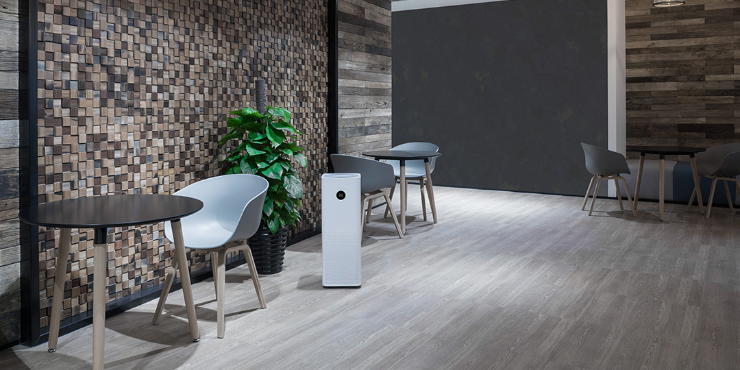 哪些绿色植物可以净化室内空气,室内绿色植物多的优点与缺点